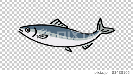sardine 83480105