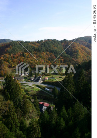 山の紅葉 山の紅葉 83480691