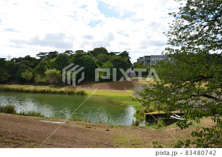 夏のニテコ池 83480742