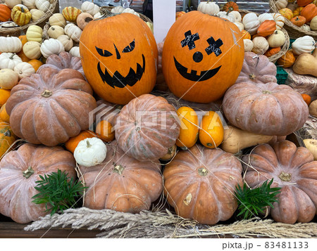 Close-up of pumpkins at the bazaar. Background. Texture. 83481133