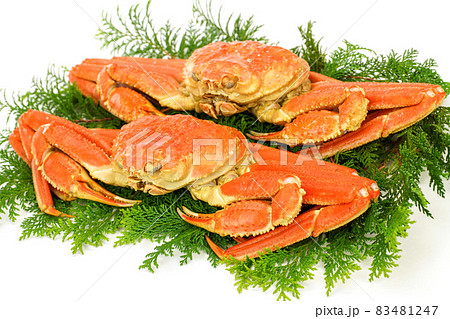 鳥取の松葉がに　ボイル松葉ガニ 83481247