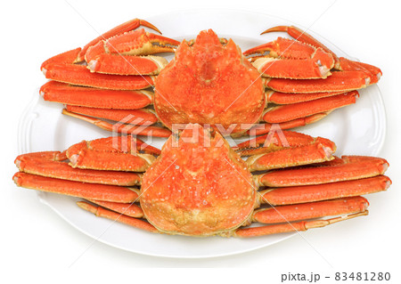 鳥取の松葉がに　皿の上のボイル松葉ガニ 83481280