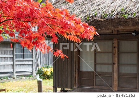 《岐阜県》白川郷 紅葉 《岐阜県》白川郷 紅葉 83481362
