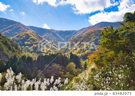 宝慶寺 宝慶寺 83482075