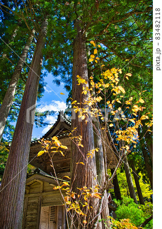 宝慶寺 宝慶寺 83482118