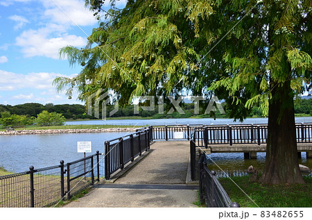 昆陽池公園 昆陽池公園 83482655