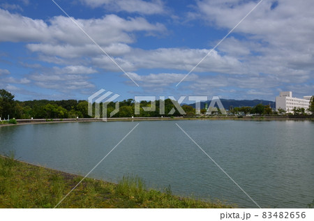 昆陽池公園 83482656