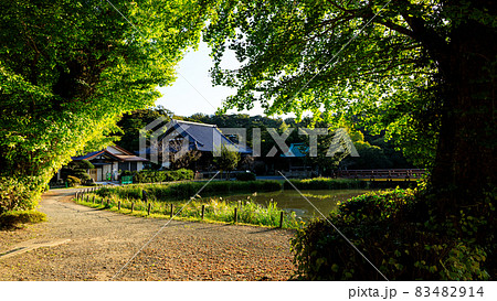 神奈川県横浜市金沢区の称名寺の秋 83482914