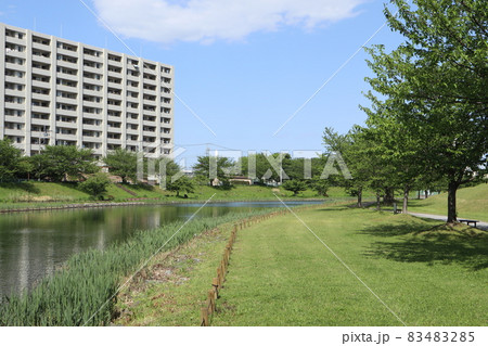 旧中川水辺公園 旧中川水辺公園 83483285