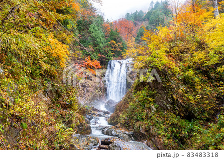 《岐阜県》天生中滝 滝と紅葉 《岐阜県》天生中滝 滝と紅葉 83483318