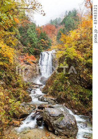《岐阜県》天生中滝 滝と紅葉 《岐阜県》天生中滝 滝と紅葉 83483321