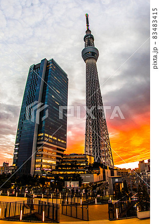 夕暮れ時の東京スカイツリー 夕暮れ時の東京スカイツリー 83483415
