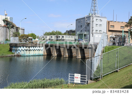 旧中川水辺公園 旧中川水辺公園 83483428
