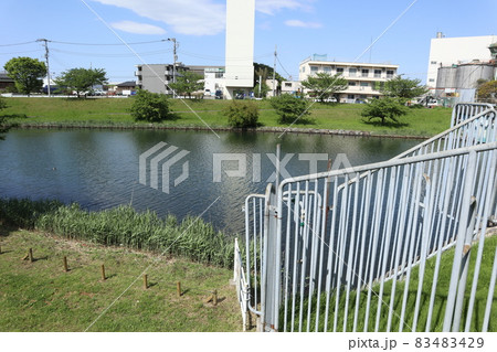 旧中川水辺公園 83483429