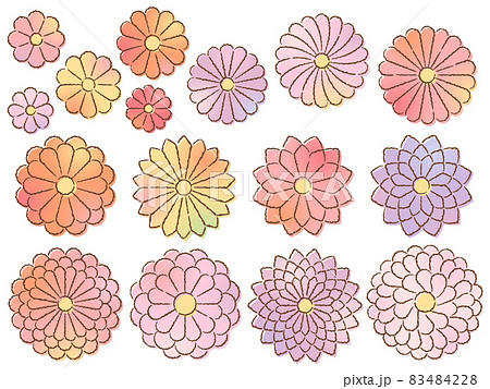 カラフルな和風の菊の手描き風イラストセット カラフルな和風の菊の手描き風イラストセット 83484228