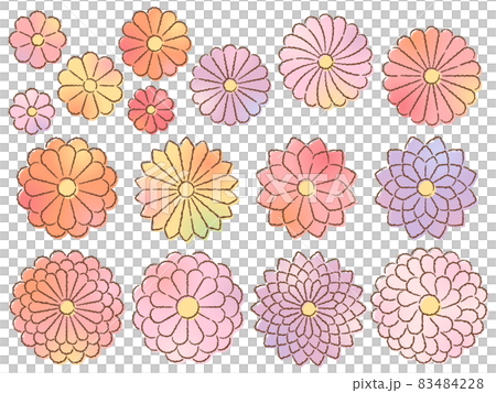 カラフルな和風の菊の手描き風イラストセット カラフルな和風の菊の手描き風イラストセット 83484228