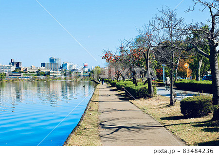 秋の千波湖　茨城県水戸市 83484236