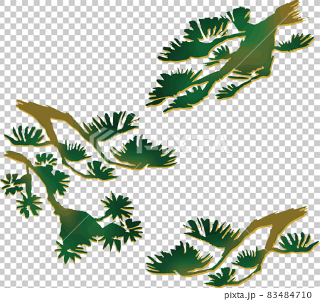 松 木 植物 自然 水墨画 墨絵 日本画 和柄 和風 手描き アナログタッチ 水彩 イラスト素材のイラスト素材