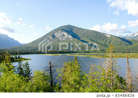 春のカナディアン・ロッキー　バンフ国立公園　新緑の朝のバーミリオン湖（カナダ） 83486826