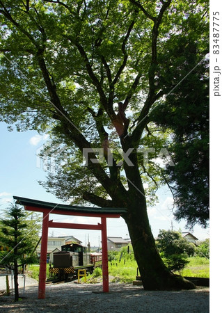 夏の日の西濃鉄道 83487775