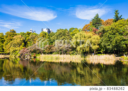 井の頭公園 秋 井の頭公園 秋 83488262