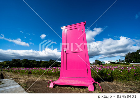 三重県津市一志町　とことめの里のコスモス畑 83488401