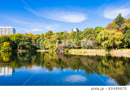 井の頭公園 秋 井の頭公園 秋 83489670