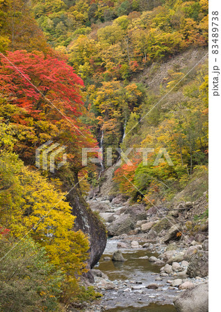 長野県栄村秋山郷 夫婦滝 長野県栄村秋山郷 夫婦滝 83489738
