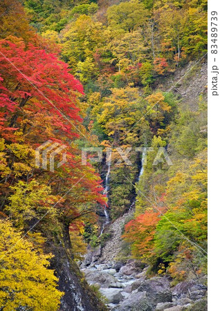 長野県栄村秋山郷　夫婦滝 83489739