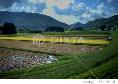 稲刈り風景 83490112