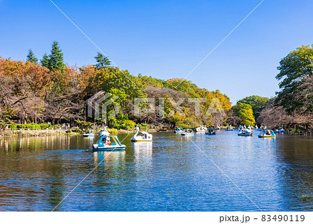 秋の井の頭公園　休日風景 83490119