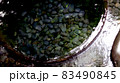 湧き水 83490845