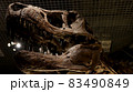 恐竜の骨 83490849