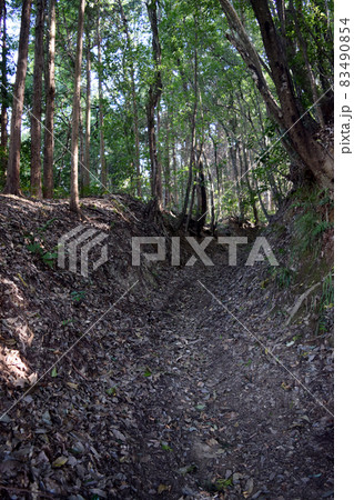 上赤坂城 83490854