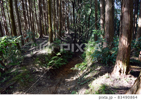 上赤坂城 上赤坂城 83490864