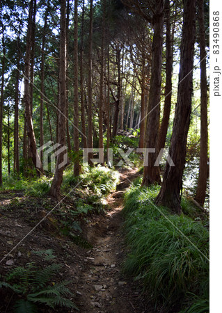 上赤坂城 上赤坂城 83490868