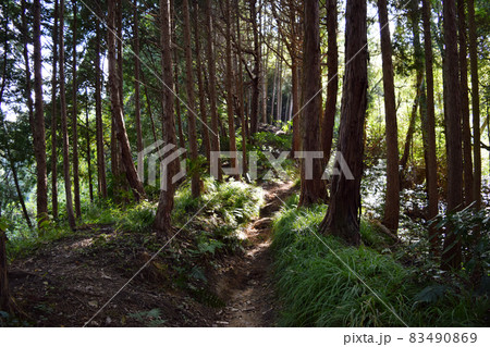 上赤坂城 83490869