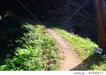 上赤坂城 83490877