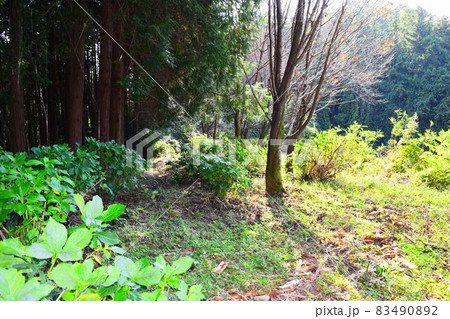 上赤坂城 83490892