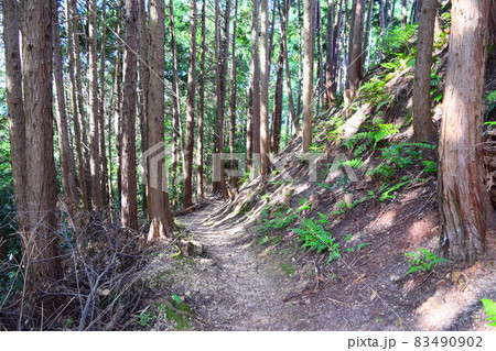 上赤坂城 83490902