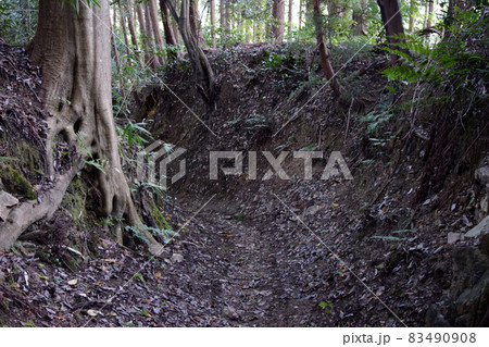 上赤坂城 83490908