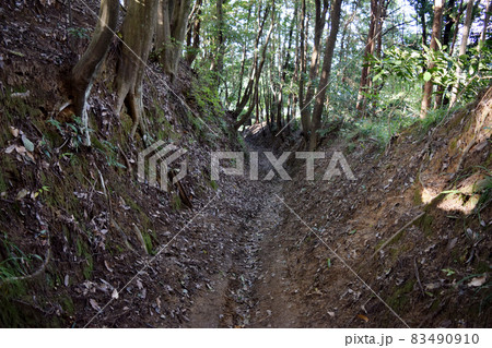 上赤坂城 上赤坂城 83490910