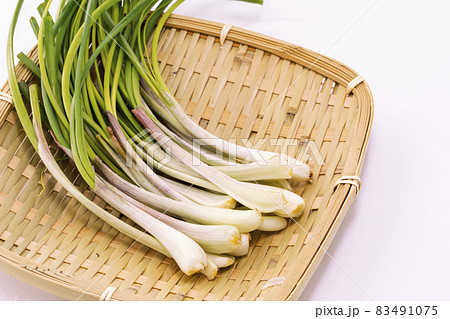 葉付きらっきょう 葉付きらっきょう 83491075