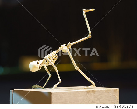 Photograph of a dancing skeleton toy on a bench at night in the public park. Natural dark background. He having fun. Halloween concept. Photograph of a dancing skeleton toy on a bench at night in the public park. Natural dark background. He having fun. Halloween concept. 83491378