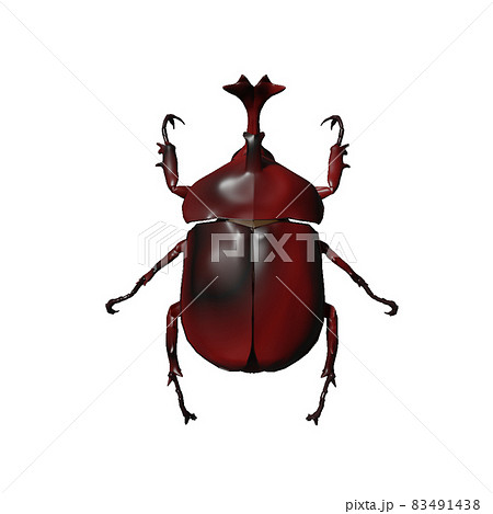 カブトムシ 83491438