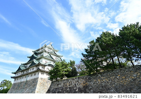 名古屋城の石垣と天守閣 83491621