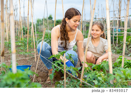 Woman working with daughter at family garden 83493017