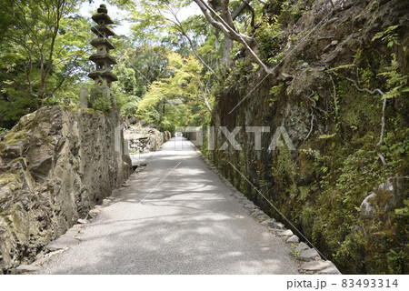 琴坂 石塔 興聖寺 琴坂 石塔 興聖寺 83493314