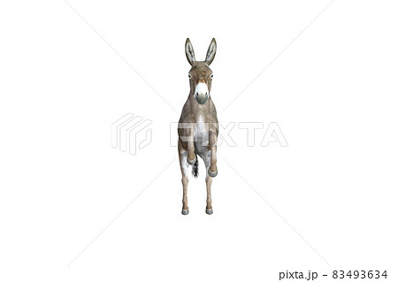 Photo-realistic illustration of the donkey with different poses and angles. 3D rendering illustration. 83493634