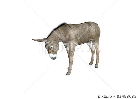 Photo-realistic illustration of the donkey with different poses and angles. 3D rendering illustration. 83493635